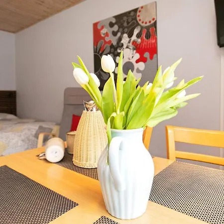 Iii Apartamento